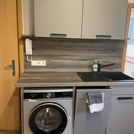Elise Apartment Oberweißbach Екстериор снимка